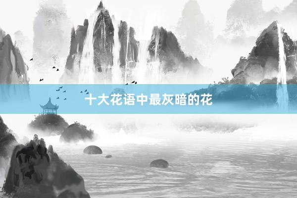 十大花语中最灰暗的花