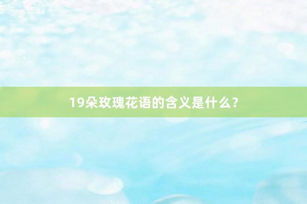19朵玫瑰花语的含义是什么？
