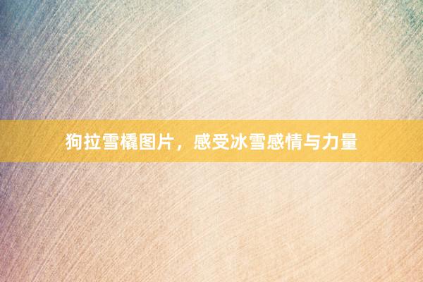 狗拉雪橇图片，感受冰雪感情与力量