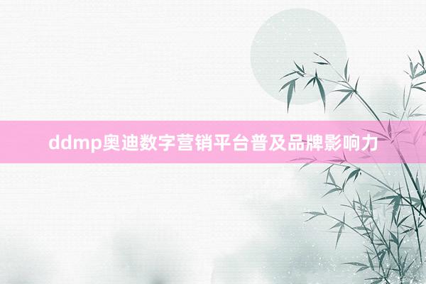 ddmp奥迪数字营销平台普及品牌影响力